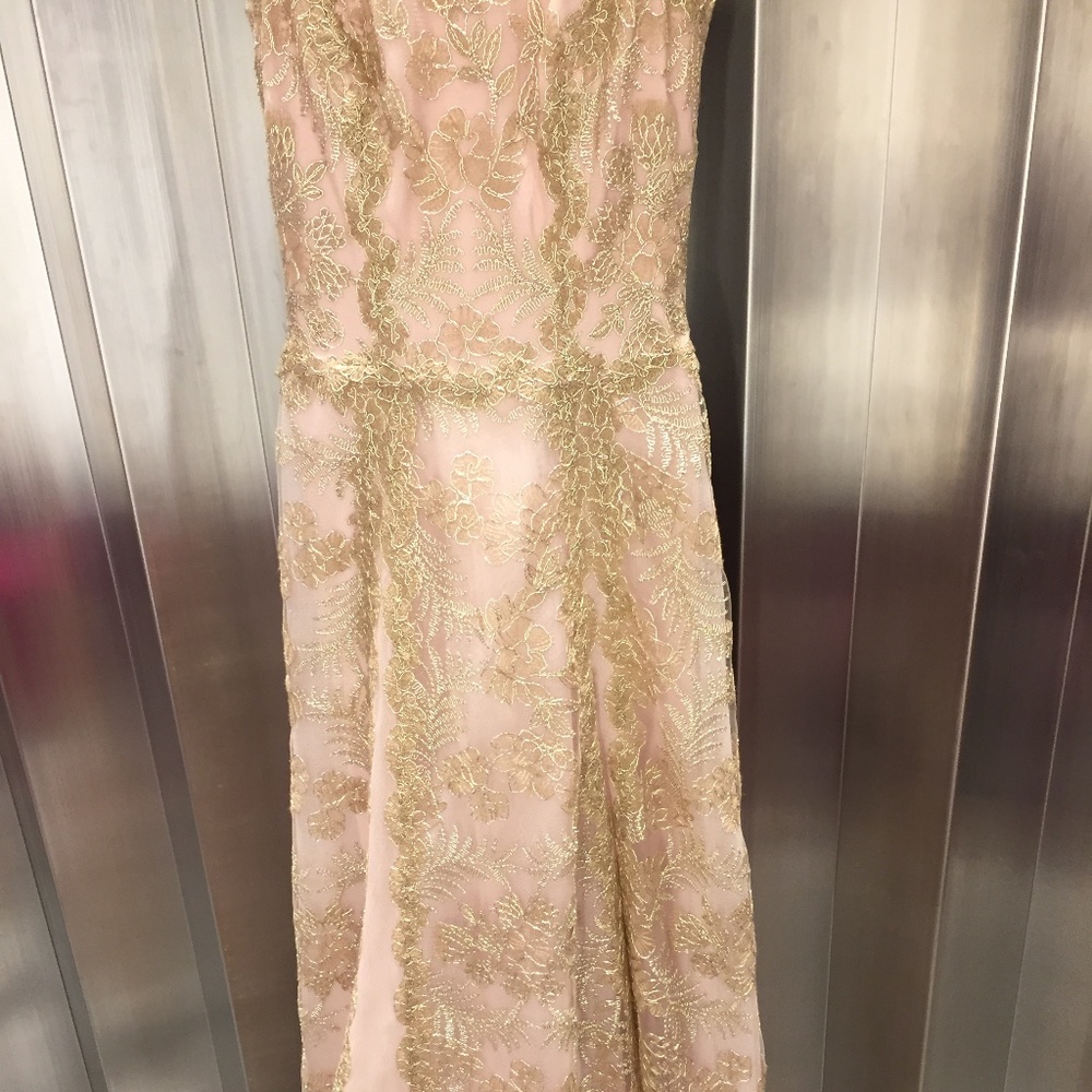 Tadashi Shoji Gown